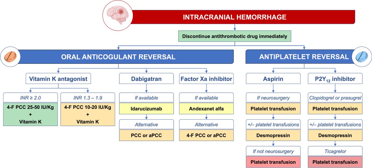 Davide Cao (@caodavide) on Twitter photo Finally out State-of-the-Art Review on antithrombotic drug 💊 #reversal and #removal in patients in active or imminent threat of major bleeding🩸 Read more in the #EHJ 📰 <a href="/Drroxmehran/">Dr Roxana Mehran</a> <a href="/nicolasamabile/">Nicolas Amabile</a> <a href="/ChiaritoMauro/">Mauro Chiarito</a> Finally out State-of-the-Art Review on antithrombotic drug 💊 #reversal and #removal in patients in active or imminent threat of major bleeding🩸 Read more in the #EHJ 📰 <a href="/Drroxmehran/">Dr Roxana Mehran</a> <a href="/nicolasamabile/">Nicolas Amabile</a> <a href="/ChiaritoMauro/">Mauro Chiarito</a>