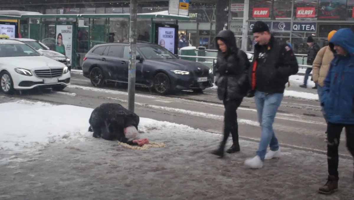 penttiotto's tweet photo. Köyhä sydän
#poorheart
#köyhäsydän https://t.co/BnSsNkVGlb