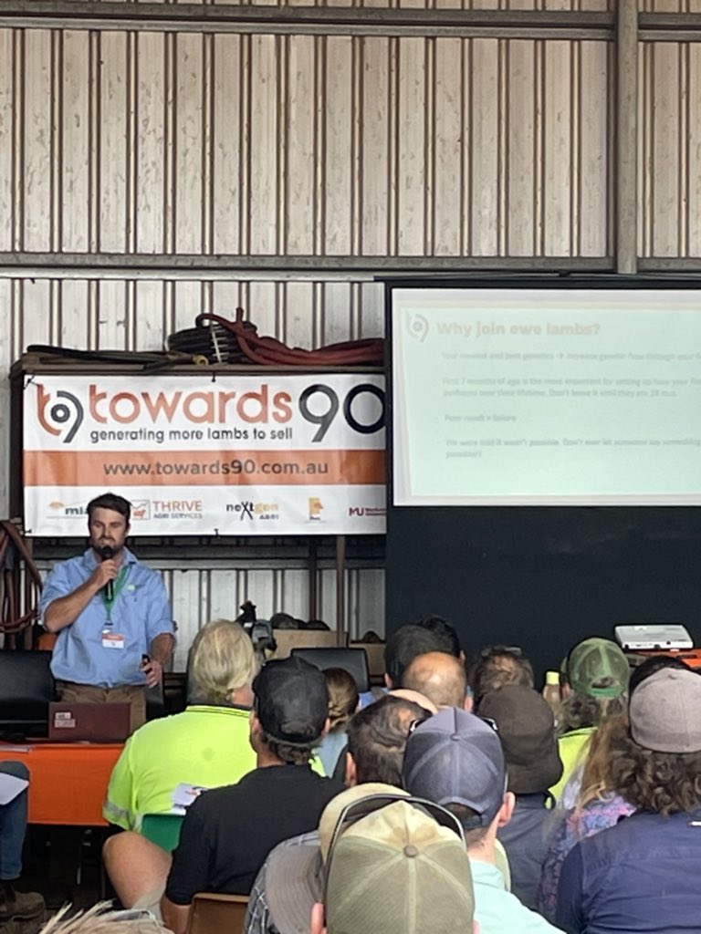 Hamish Thompson - Moojepin Merinos  on ewe lambs and wanting to help make a difference in the industry