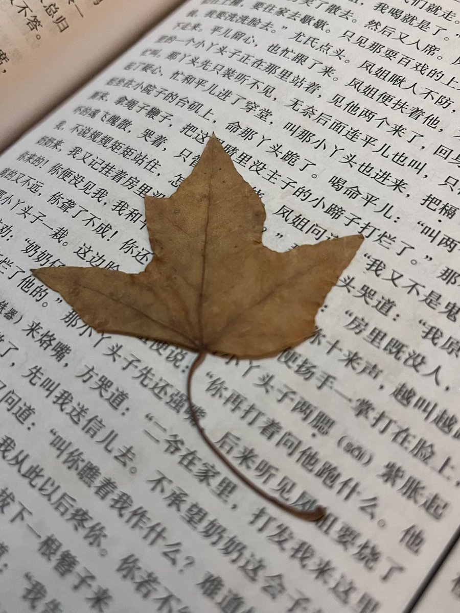 Apple8888_'s tweet photo. @hhhhhh35204927 小学时在红楼梦里放置的枫叶🍁 https://t.co/Gg2pZYoAUI