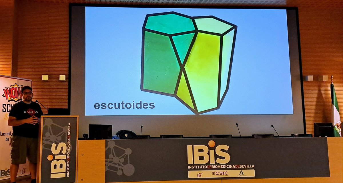 aidaplat's tweet photo. Y hoy aqui con @luisma en #Wowscience en el @ibis_sevilla hablando de geometria, matematicas y naturaleza! Anda que no hemos aprendido...sabes que forma tiene un #arcoiris? https://t.co/FXdedcth1D