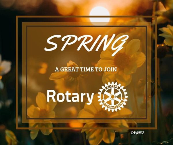 Join our members this Saturday, April 1st at 4Seasons, The Waterfront, Sovereign Harbour. We will be there 10.00am - 12.00 to meet you and discuss any questions you have about Rotary and what we do in our community. @RotarySE1120
