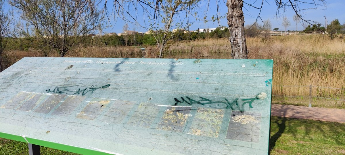 AVCampClar's tweet photo. Amb la cartelleria de l'anella es podría fer alguna cosa @TGNAjuntament @ElviraVidalTGN Som una Vila florida!😏 #somcampclar #somponent #fembarri #femtarragona https://t.co/pfJNlN5p6R
