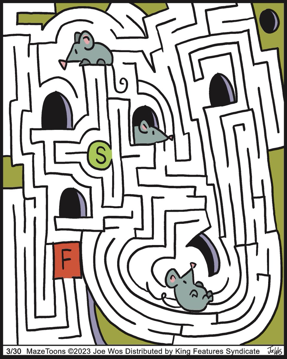 #mice #mouse #mazerunner thomas