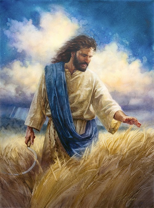 Zum Ende hin, trennt sich die Spreu sichtbar für jeden, vom Weizen. Wer fällt noch alles ab und wird als Spreu ins Feuer geworfen? 

Nach der #Prüfung, kommt die #Erntezeit