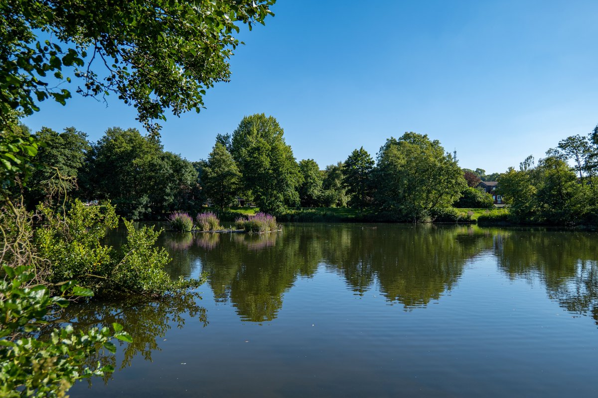 cameronhomesltd's tweet photo. With #WorldHealthDay coming up on Friday, it's the perfect time to show off some of the incredible scenic walking routes near our homes in Ashbourne.

Imagine living this close to such amazing natural beauty spots 🌳💚

For more ➡️ https://t.co/UB8GIlqUMK https://t.co/o5sQhrnTcq