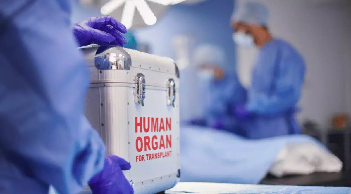 hospitalclinic's tweet photo. 🫂 Sabías que un donante puede salvar la vida de 8⃣ personas?
🫂 Sabías que, en algunos casos, el donante puede estar vivo?
👀 Descubre 7⃣ cosas que no sabías sobre los trasplantes de órganos
➕ Info en #PortalCLÍNIC 👉 https://t.co/CMG5tY3zeb
@FundacionBBVA #DNT23 https://t.co/4MCec4OPie