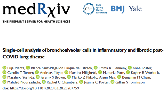 DrGTomlinson's tweet photo. 1/10 Excited to announce our preprint “Single-cell analysis of bronchoalveolar cells in inflammatory and fibrotic post-COVID lung disease” is out on MedRxiv! https://t.co/AJonE7FS2D https://t.co/4gFGw2cdY4
