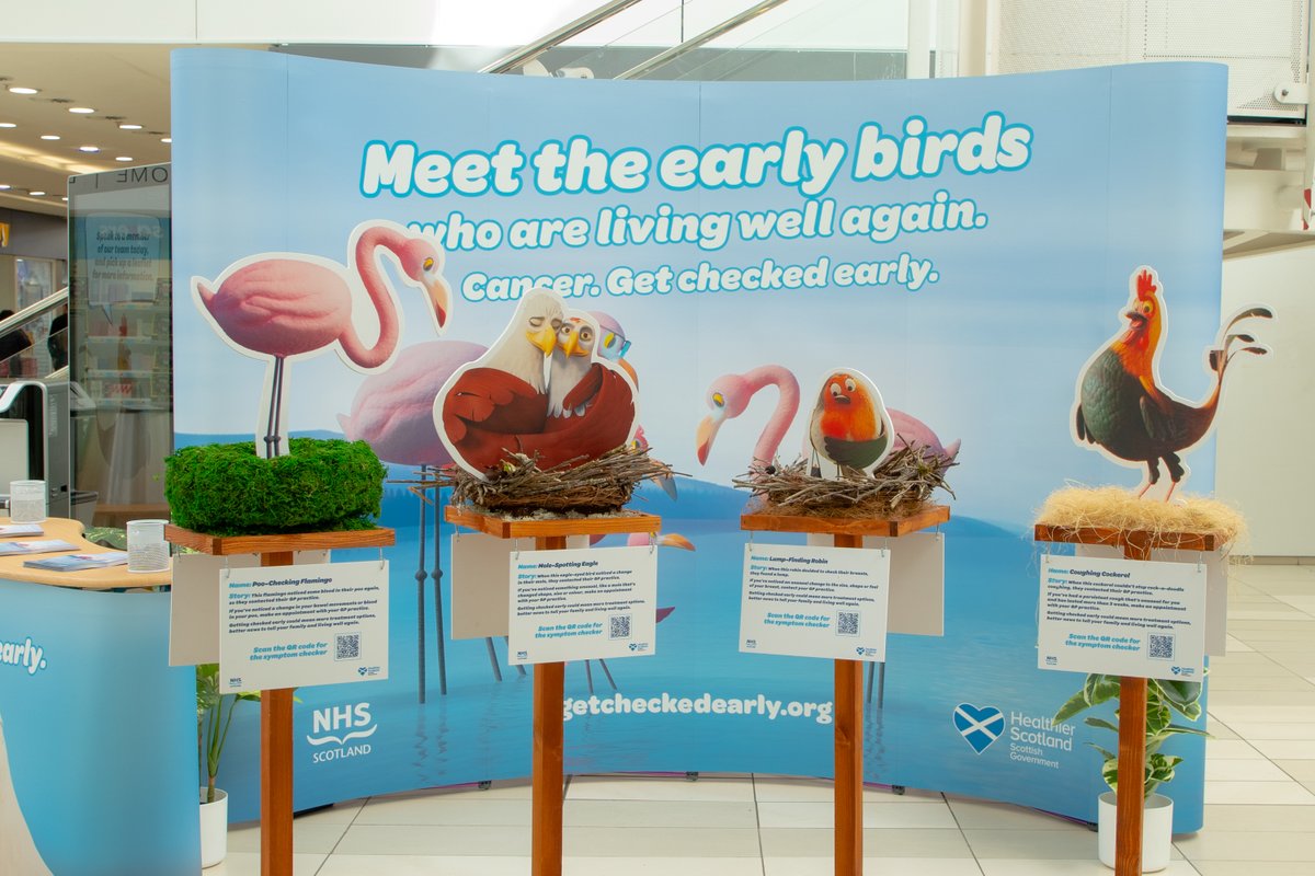 Linda McKell tweet media