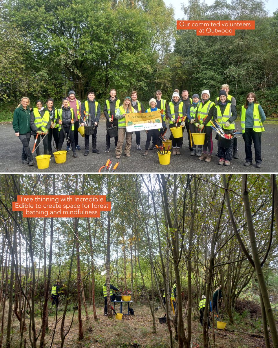 CityofTreesMcr's tweet photo. What we love more than anything are these brilliant ‘before’ and ‘after’ shots. A HUGE thank you to the amazing volunteers who joined us at sessions throughout the year to make this all happen 💚#GreenRecoveryChallengeFund #togetherforourplanet (2/2) https://t.co/nwdU57Y1vx