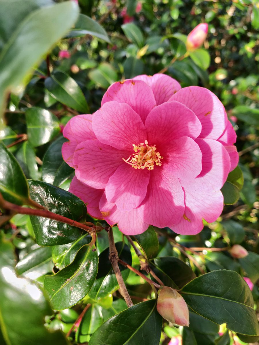 Livinteresting tweet media