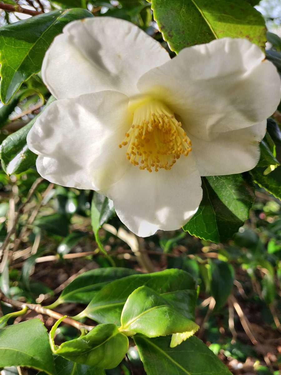 Livinteresting tweet media