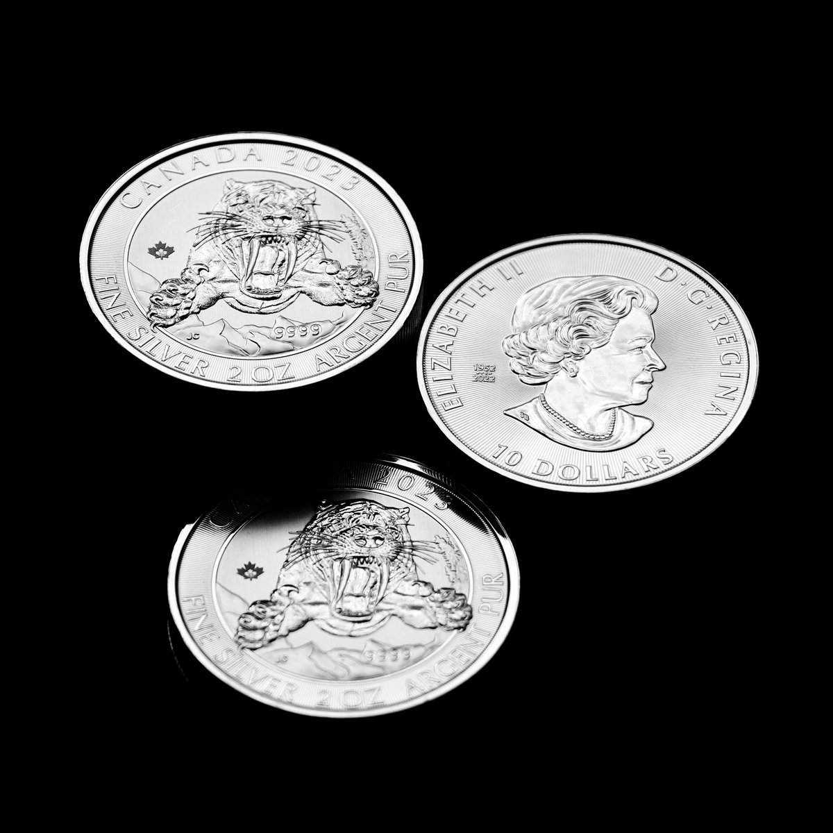 acheterorargent's tweet photo. 🆕 Découvrez la 1ère sortie de la série "Âge de glace" de la Monnaie Royale Canadienne chez https://t.co/M62xMwjpos
⚪ 2 Oz Chat à dents de sabre 2023 #Canada 🇨🇦
➡️ https://t.co/gwZK92naEd
#silvercoin #preciousmetals #investment #metauxprecieux #royalcanadianmint #canadiancoin https://t.co/LAIjkcXd0m