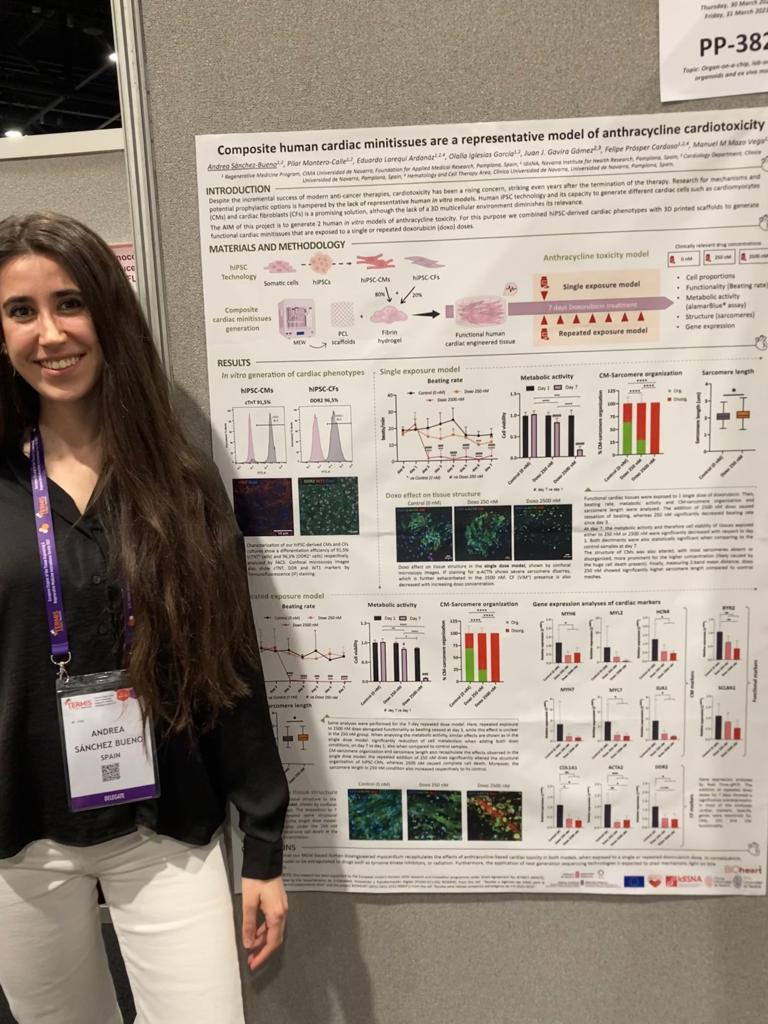 BioheartProject's tweet photo. Our PhD student Andrea Sánchez is presenting her poster on human cardiac minitissues at the International Society for Tissue Engineering and Regenerative Medicine @TermisEU2023 in #Manchester. Congratulations!! #Bioheart https://t.co/iitTcTlBVW