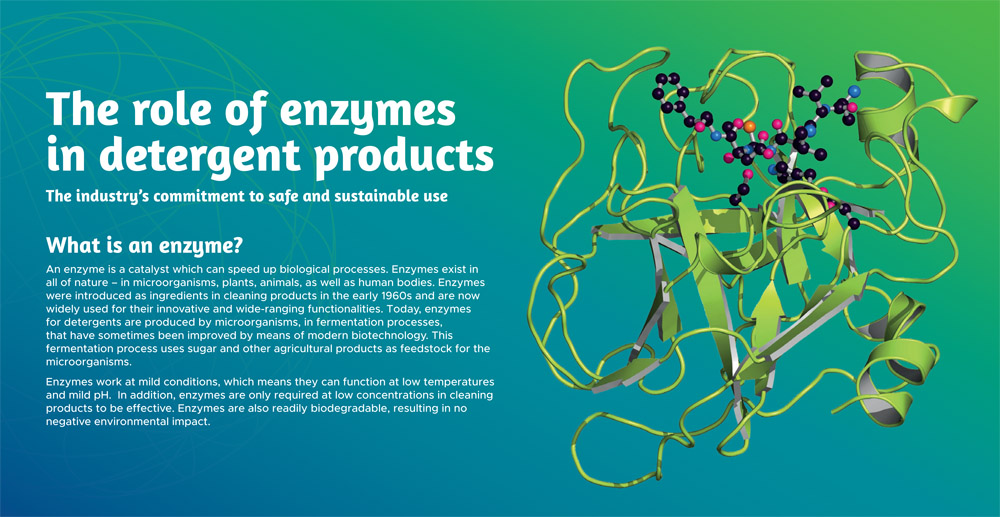 Enzymes were introduced as ingredients in #cleaning  products in the early 1960s and are now widely used in detergents. European industry organisation <a href="/AISEdetergents/">A.I.S.E.</a> tells us more. europeancleaningjournal.com/magazine/febru…