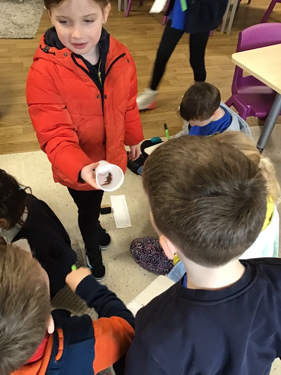 Mrs Timothy tweet media