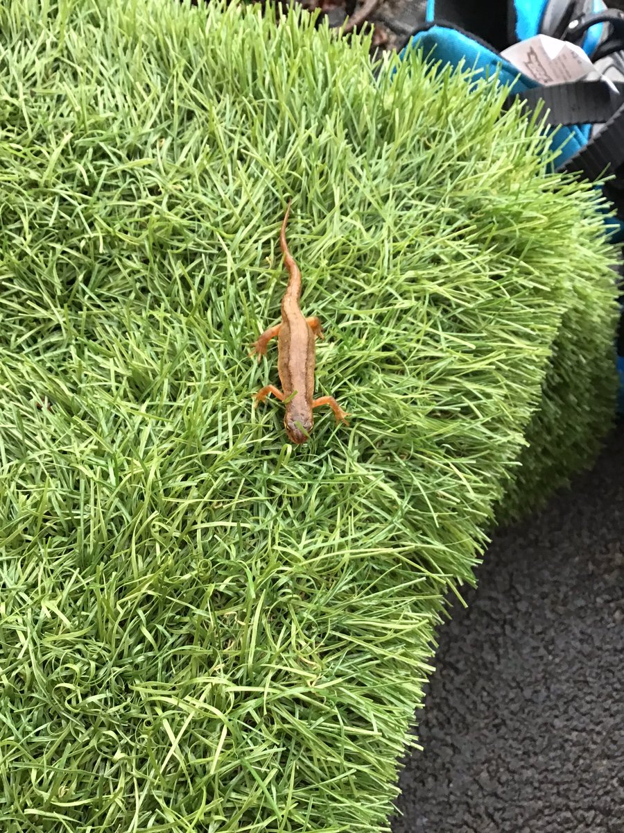 Mrs Timothy tweet media