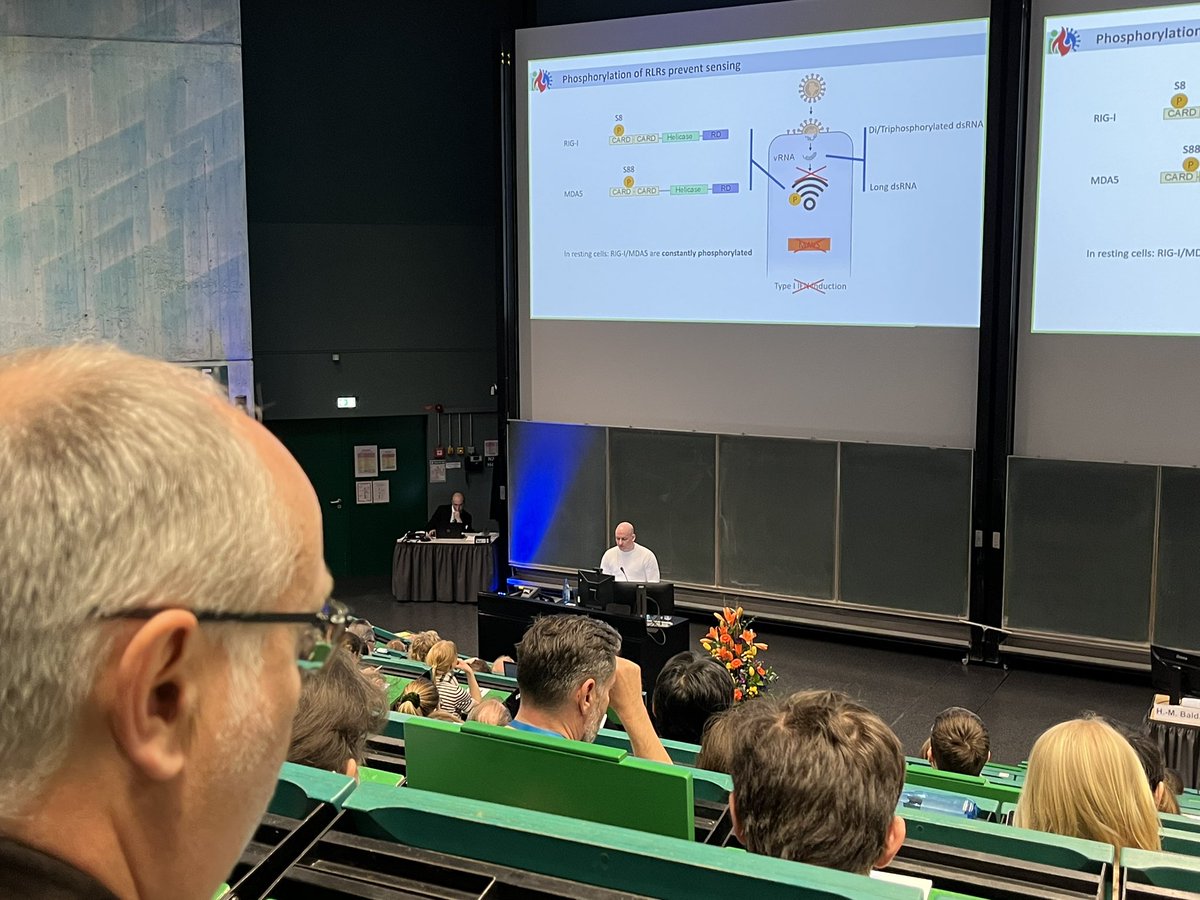 GesVirologie's tweet image. Next up: Konstantin @SparrerLab presenting fascinating aspects of how our cells sense virus presence and fire up their defense system, and also how they stop that powerful response again to prevent harmful auto-inflammation. #GfV2023