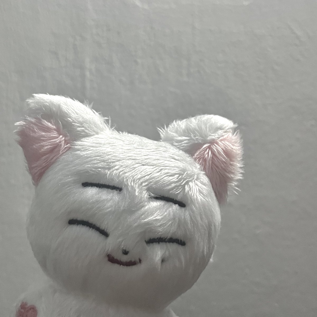 elysncart's tweet photo. ʚ #elysnmails ━
    sunoo ennimalz arrived safely. thank you @jangkkungyaz for the smooth and fast transaction ◠‿◠

#arreived https://t.co/AMpTBMFasu