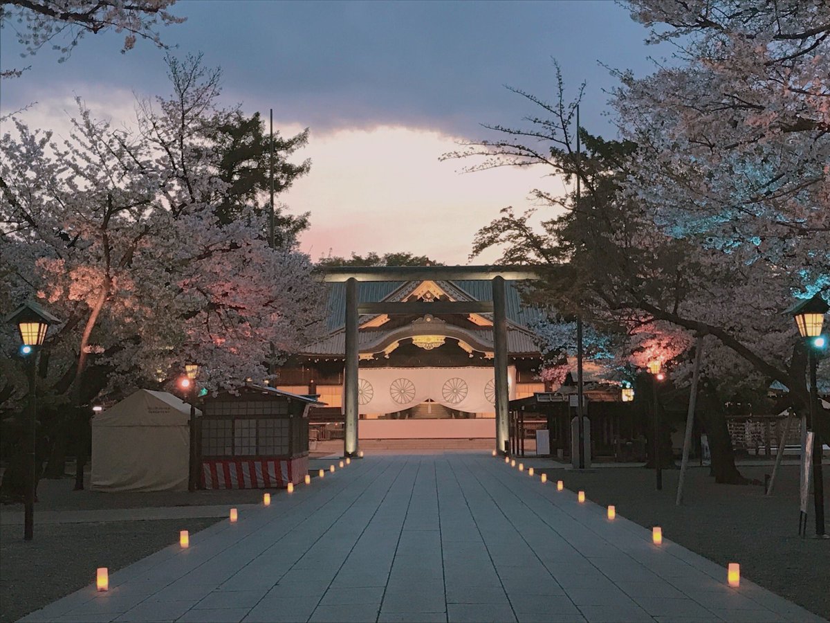 fromorin's tweet photo. 世界が平和でありますように🌸

＃靖国神社 https://t.co/En0Rl7zbua