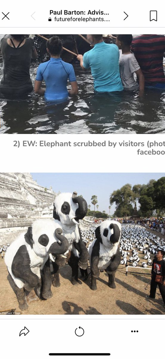 Lucycrew7's tweet image. 