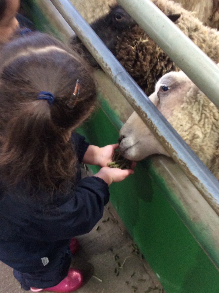 Long Close School tweet media