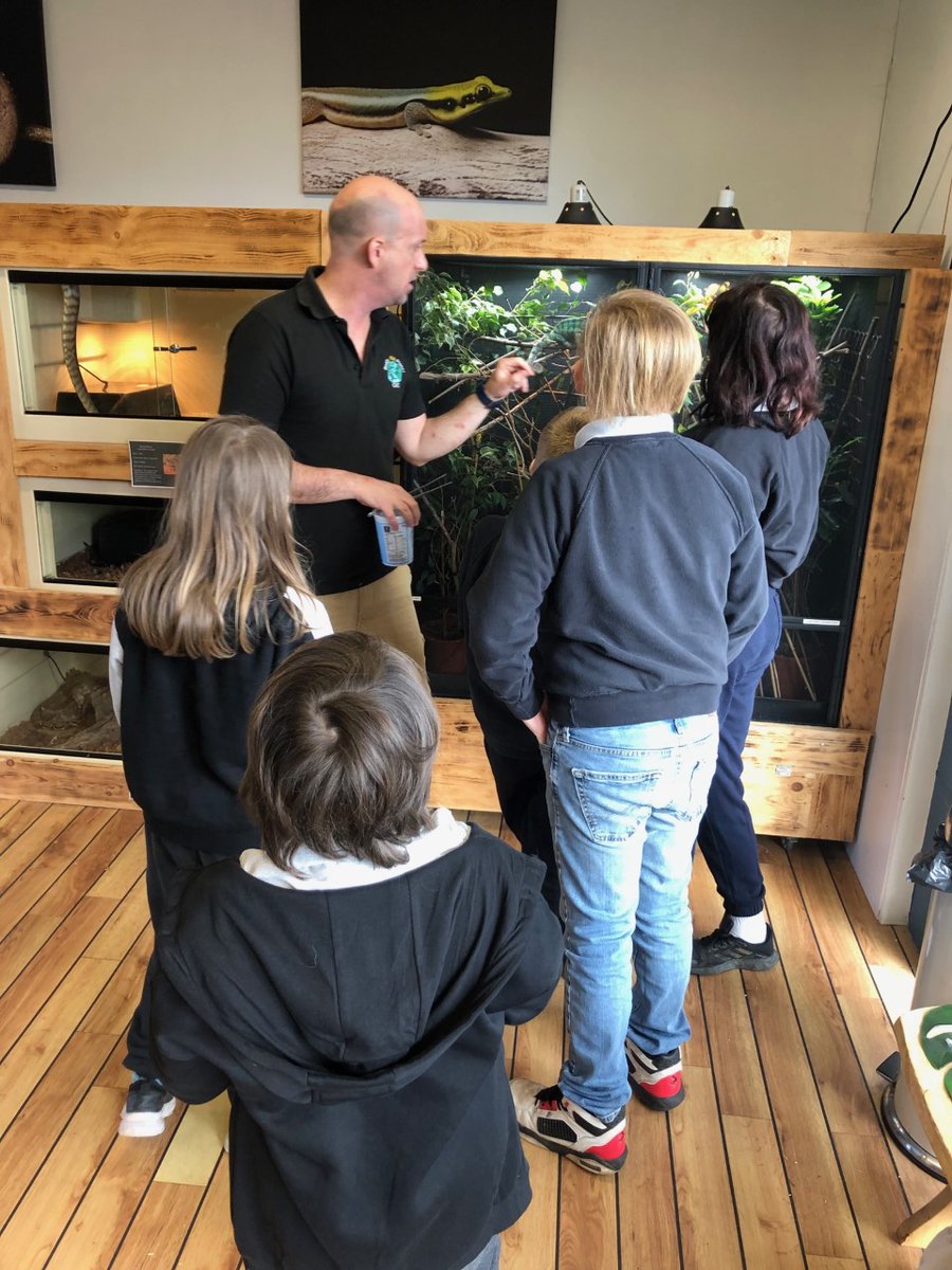 ApaShoreline's tweet image. Fantastic trip to Really Wild Planet. A wonderful experience had by all! #AffinityDevon