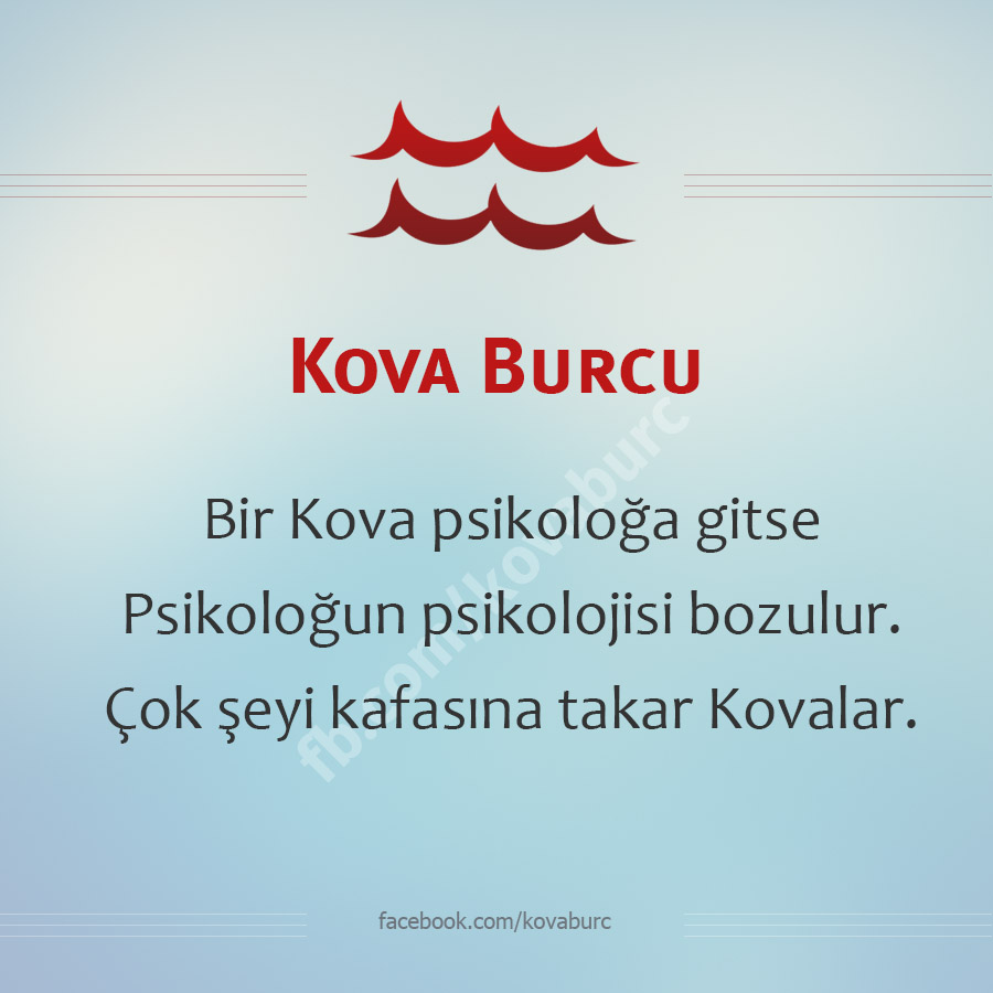Kova Burcu (@kovaburclari) on Twitter photo 