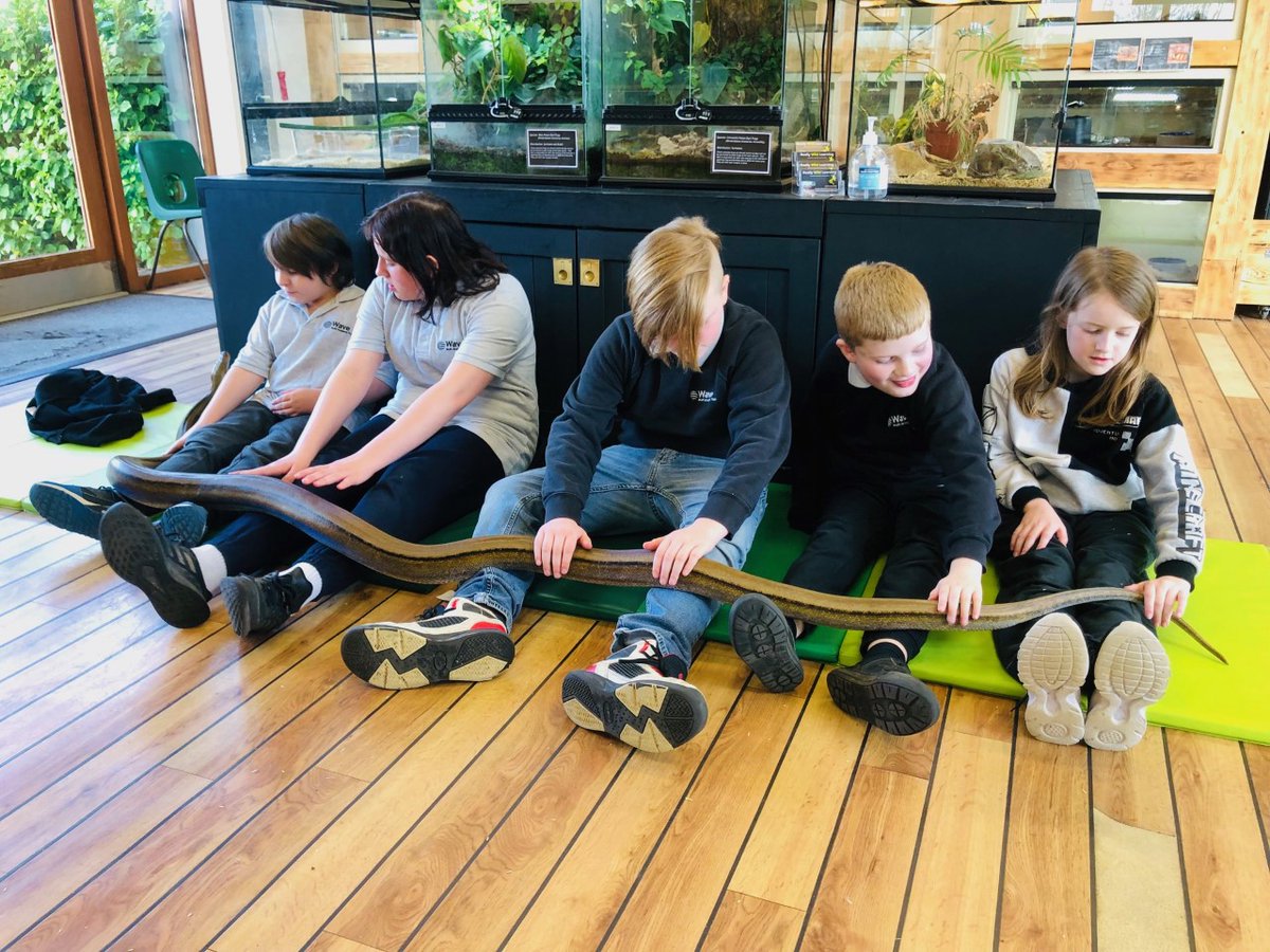 ApaShoreline's tweet image. Fantastic trip to Really Wild Planet. A wonderful experience had by all! #AffinityDevon