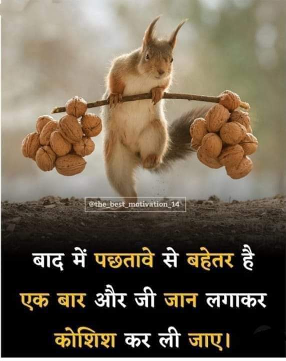 Dharmraj2002's tweet photo. #RestoreOPS 
#NMOPS
#पुरानी_पेंशन_बहाल_करो 
#RahulGhandi 
 आज समय है आज बाजी आपके हाथ में है संघर्ष की दिशा आपको तय करनी है इसलिए जान की बाजी लगा दो हर हाल में पुरानी पेंशन बहाल करा कर ही दम लेंगे अभी नहीं तो कभी नहीं सरकार को वोट की चोट देने को तैयार हो जाओ.. आवाज दो हम एक है 💪 https://t.co/7bibJ3ENqq