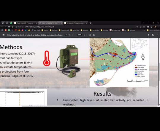 Today is the last day of #SCCS2023. Our <a href="/Ratpenats_Cat/">Programa de Seguiment de Ratpenats</a> team led by <a href="/adria_baucells/">Adrià López-Baucells - Connecting Bats & People</a> has presented talks and posters. Amazing the high level of master and PhD students. Congrats to everyone! <a href="/SCCSconf/">#SCCS25</a>