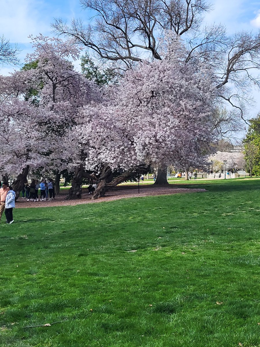 Glen Abshere, Ed.D tweet media