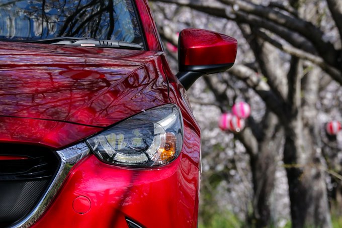 ｱｯﾌﾟﾙ色のデミちゃんのｱｯﾌﾟです🍎🚗美味しそうな木の実を狙ってます🍎鋭い目付きで狙ってますが…あれはね…ちょうちん