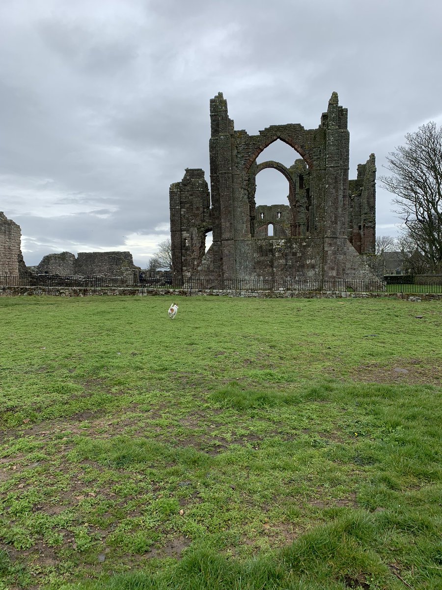 Finn6dog's tweet photo. Castle at Holy Island Lindisfarne yesterday. It is beautiful so much to see. But don’t get caught in the tide . Look out for the times https://t.co/5YSbsycTyf