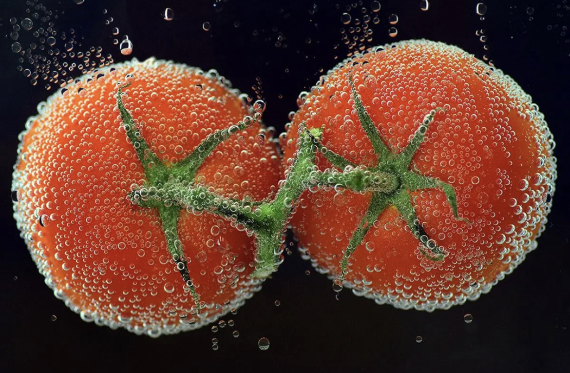 NEWS - Opportunity to join the Biofortification Hub now open

A new innovation hub on <a href="/NorwichResearch/">Norwich Research Park</a> focused on biofortification research is now open to membership applications from the UK industry and academic research community <a href="/BBSRC/">Biotechnology and Biological Sciences Research</a> <a href="/TheQuadram/">Quadram Institute</a>

okt.to/YokT3v