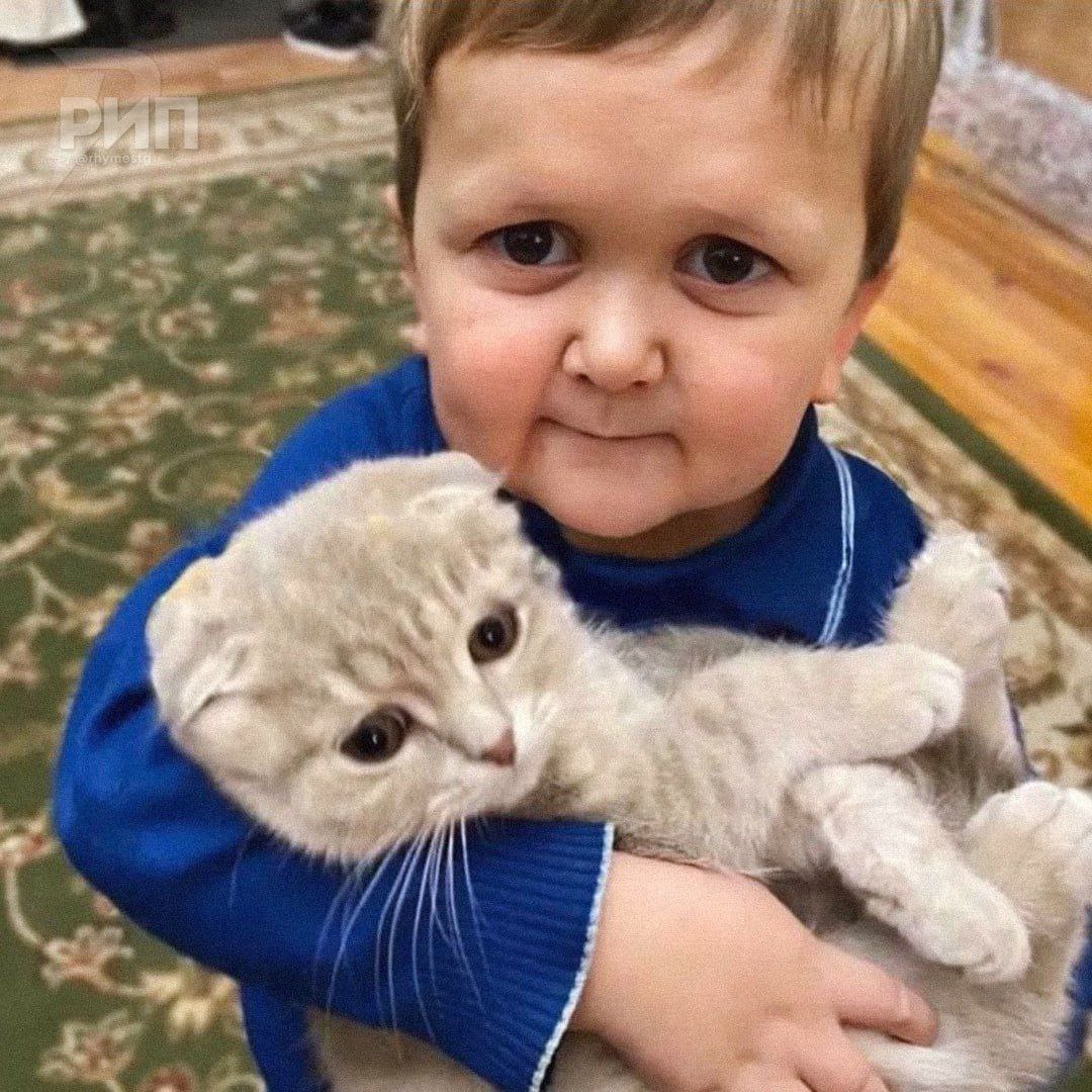 Д///ИХАД on Twitter: \"Шайтан Хасбик утверждает, что бил своего кота за ...