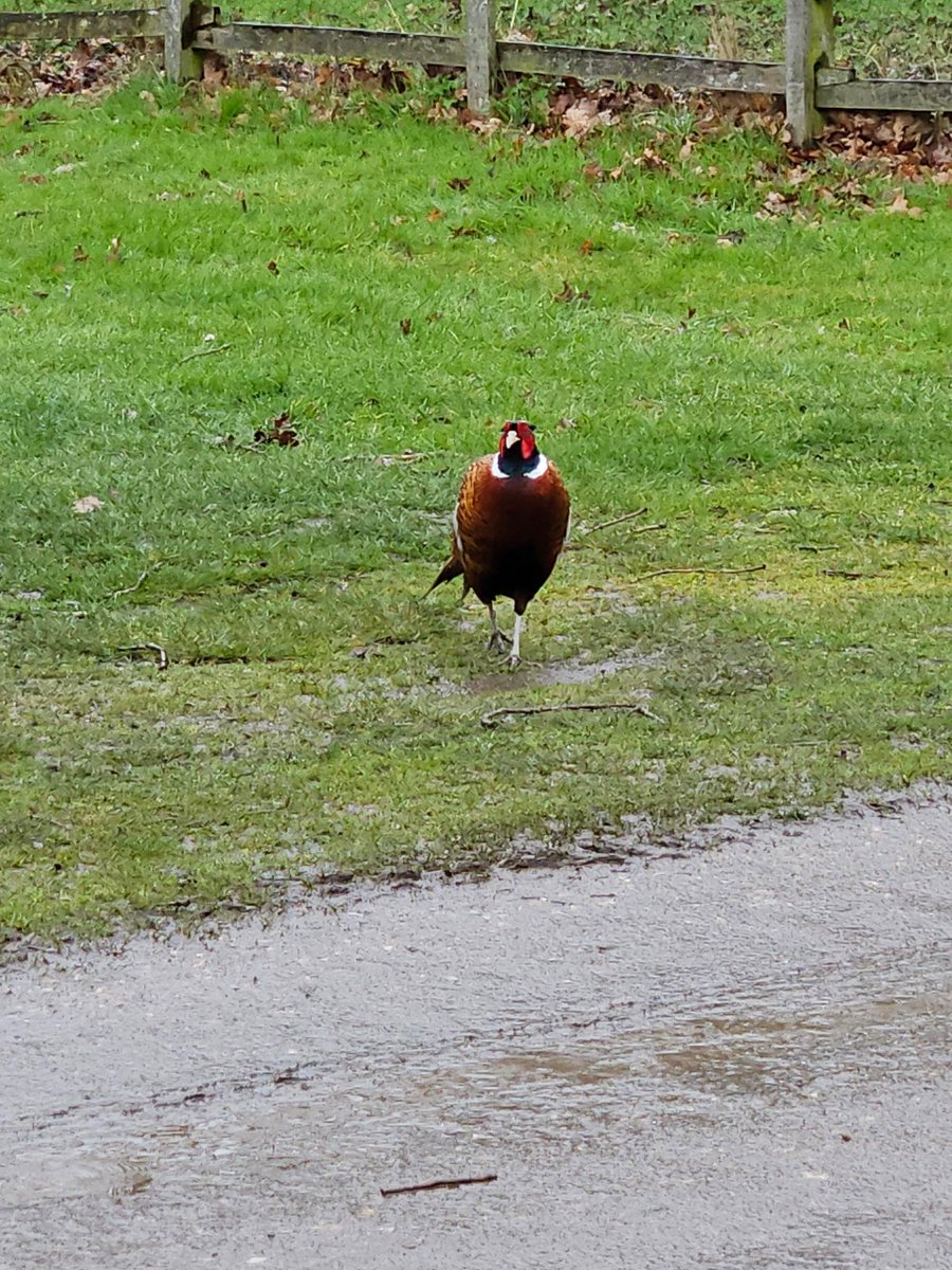 Irritech Limited tweet media