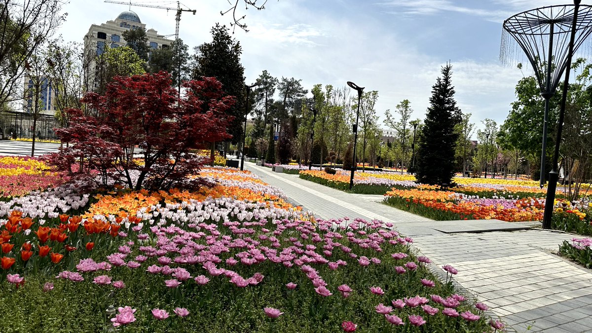 AlimshahM's tweet photo. Dushanbe, Tajikistan 🇹🇯 https://t.co/NvZQpd3SYt