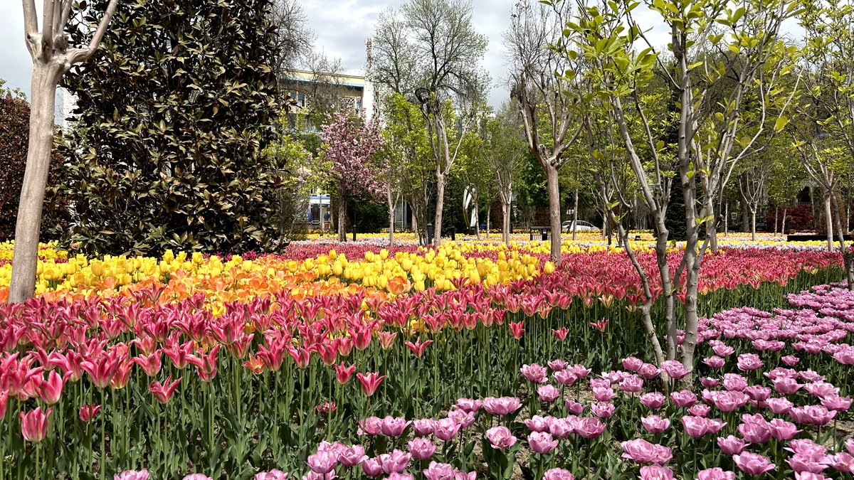 Dushanbe, Tajikistan 🇹🇯
