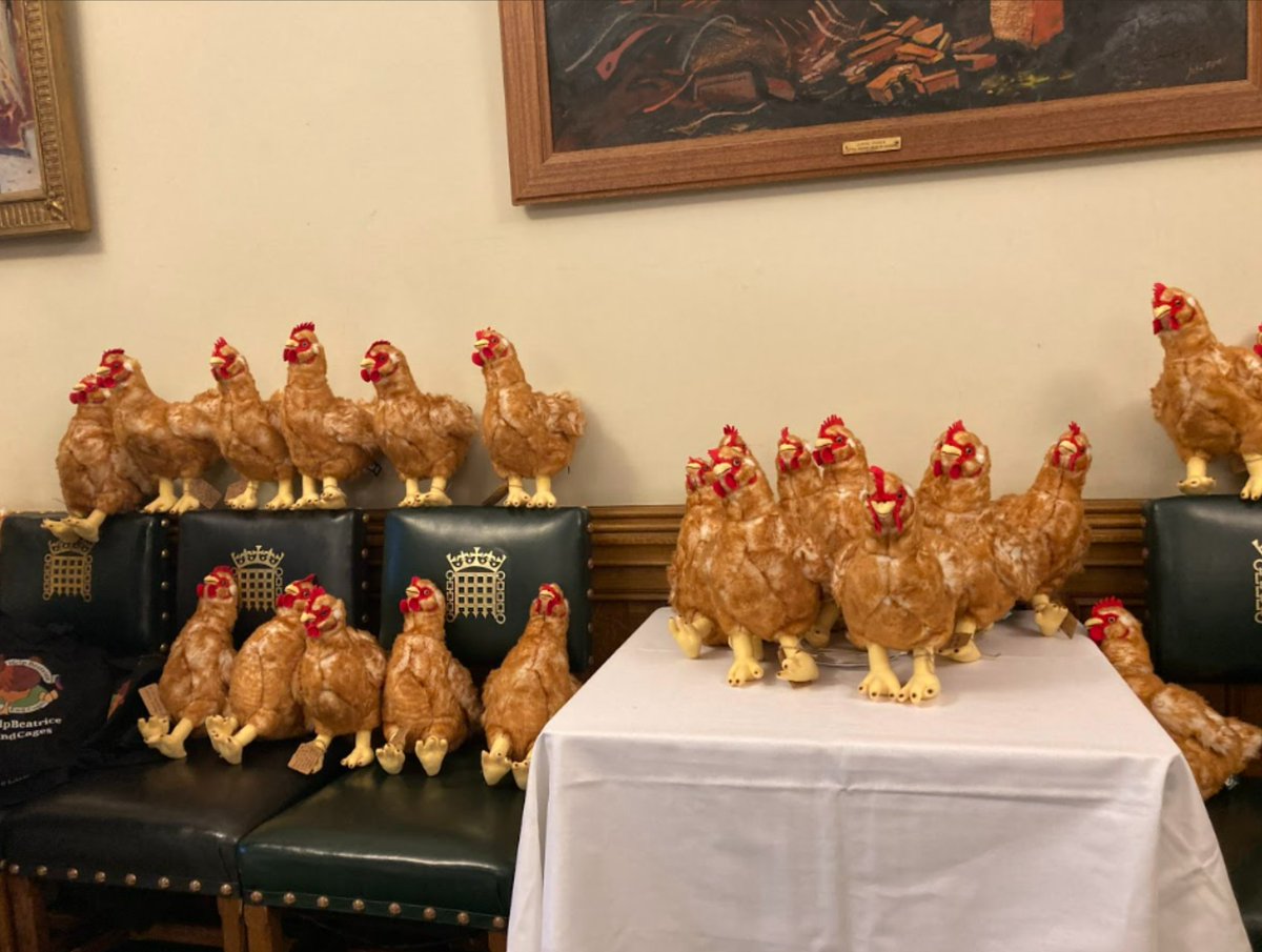 ConservativeAWF's tweet photo. It is one year since our #BeatricesBill reception in Parliament with @humaneleagueuk & @RSPCA_official hosted by @HenrySmithUK calling for an end to cages for laying hens in the UK. We urge @DefraGovUK to deliver the Call for Evidence pledged at this reception by George Eustice https://t.co/AfNVBAcdGQ