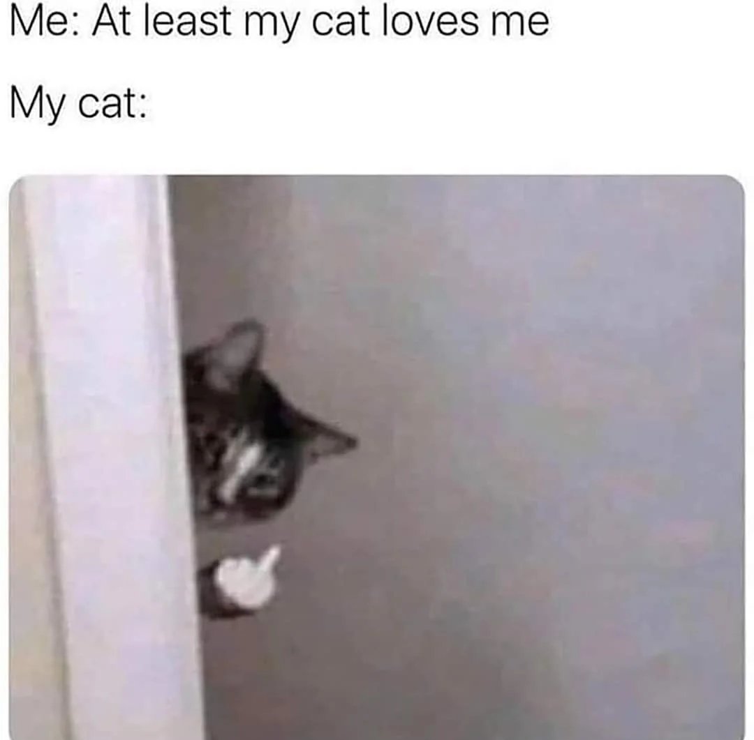 WholesomeMeme's tweet photo. https://t.co/1W7Y2PEu61