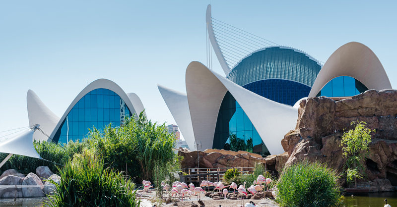 Ciudad Artes Ciencia tweet media
