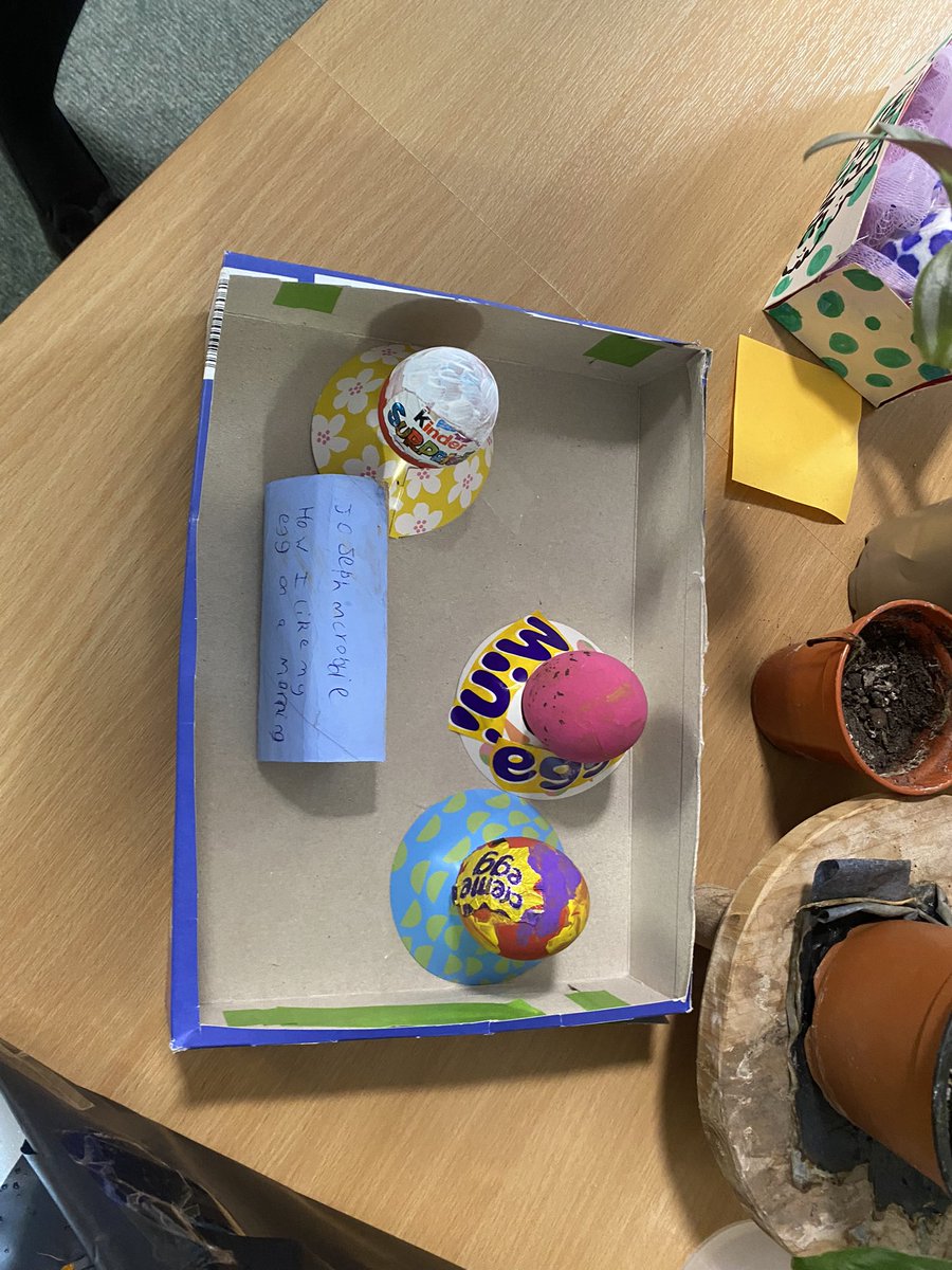 St. Patrick’s Primary School tweet media