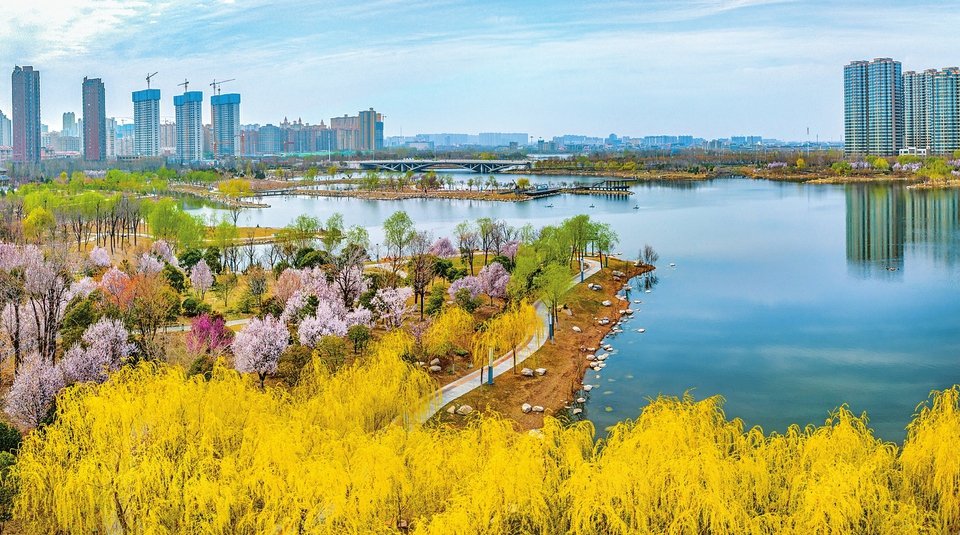 ShanxiDaily's tweet photo. In spring, the blooming flowers, the turquoise lake, the winding walkways and the flying waterfowl in #Yudu Park are a delightful mix.#Shanxi https://t.co/6oD2vzTqXp