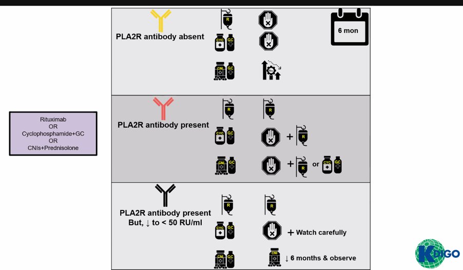 Kate Robson (@nephrologista) on Twitter photo Membranous Nephropathy at <a href="/Glomcon/">GlomCon</a> Fellowship today. What's your flavour- RTX? Modified-modified Ponticelli? <a href="/raja_1980/">Raja Ramachandran (राजा)</a> expertly addresses the nuances of everyday MN practice with current evidence. + practical case workshops w <a href="/BhadranBose/">Bhadran Bose</a>, Dr Veena Roberts & Prof Chen Au Peh Membranous Nephropathy at <a href="/Glomcon/">GlomCon</a> Fellowship today. What's your flavour- RTX? Modified-modified Ponticelli? <a href="/raja_1980/">Raja Ramachandran (राजा)</a> expertly addresses the nuances of everyday MN practice with current evidence. + practical case workshops w <a href="/BhadranBose/">Bhadran Bose</a>, Dr Veena Roberts & Prof Chen Au Peh
