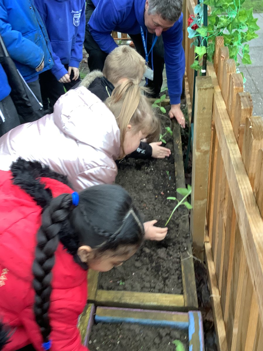 RPS_Conkers's tweet photo. Today we checked on our sunflowers and replanted them outside. #watch this space 🌻 https://t.co/IjbBPAhDeo