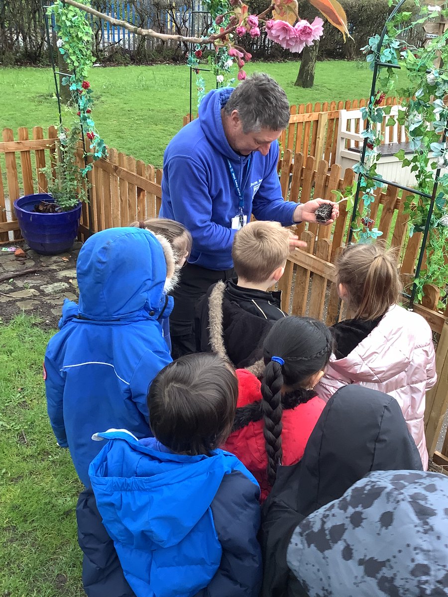 RPS_Conkers's tweet photo. Today we checked on our sunflowers and replanted them outside. #watch this space 🌻 https://t.co/IjbBPAhDeo