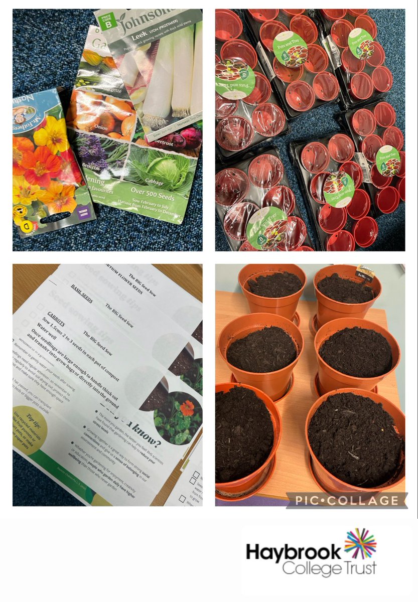 HaybrookCollege's tweet photo. This week we are hosting the #RHSBigSeedSow designed by @RHS to get schools, groups and individuals sowing and sharing seeds. 
Let's do this... #wearehaybrook #community #schoolgardens https://t.co/sXPrgFg9uY