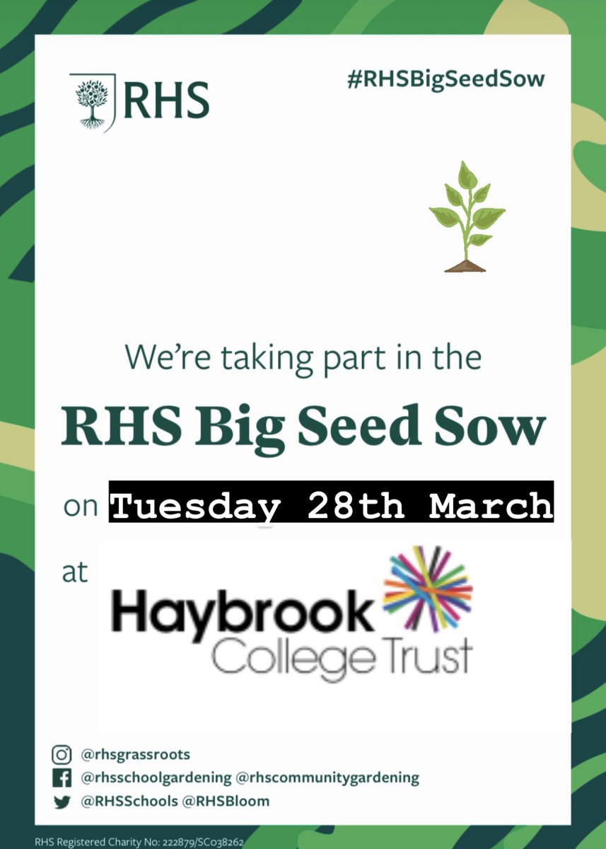 This week we are hosting the #RHSBigSeedSow designed by <a href="/RHS/">Russell Smith 🤙</a> to get schools, groups and individuals sowing and sharing seeds. 
Let's do this... #wearehaybrook #community #schoolgardens