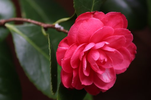 sunrisebeb's tweet photo. https://t.co/lTxG4B1QUB #eventi #gardening #Lucca https://t.co/t9GHdpbbxf